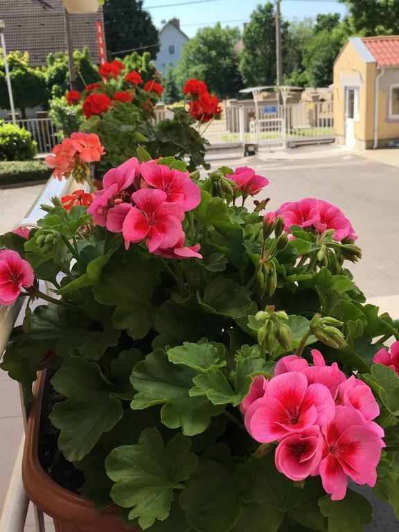 Ceu Konferencia Központ Budapest